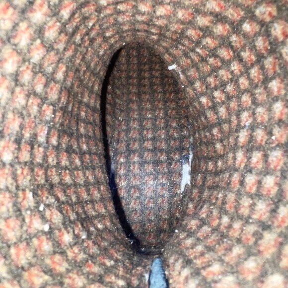 L.L. Bean Women’s Black Leather Back Zip Closure Lug Sole Mid-Calf Boots Size 7M - Picture 8 of 11